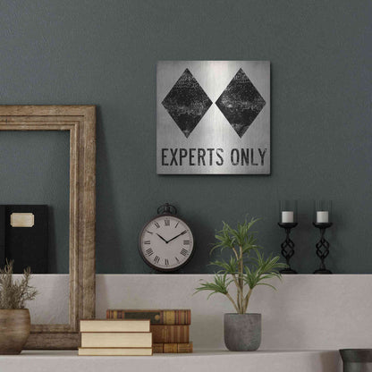 Luxe Metal Art 'Experts Only White' by Ryan Fowler, Metal Wall Art,12x12