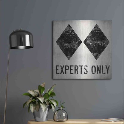 Luxe Metal Art 'Experts Only White' by Ryan Fowler, Metal Wall Art,24x24