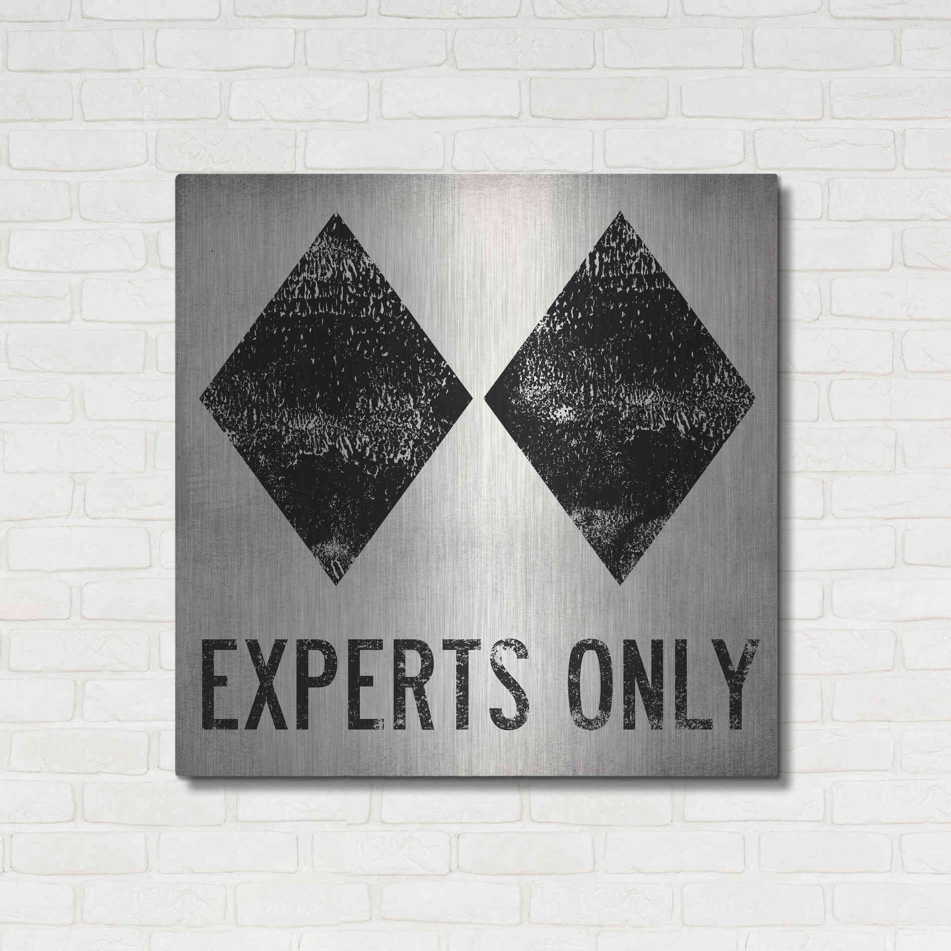 Luxe Metal Art 'Experts Only White' by Ryan Fowler, Metal Wall Art,36x36