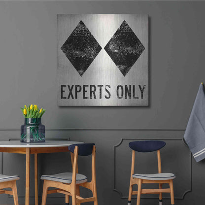 Luxe Metal Art 'Experts Only White' by Ryan Fowler, Metal Wall Art,36x36