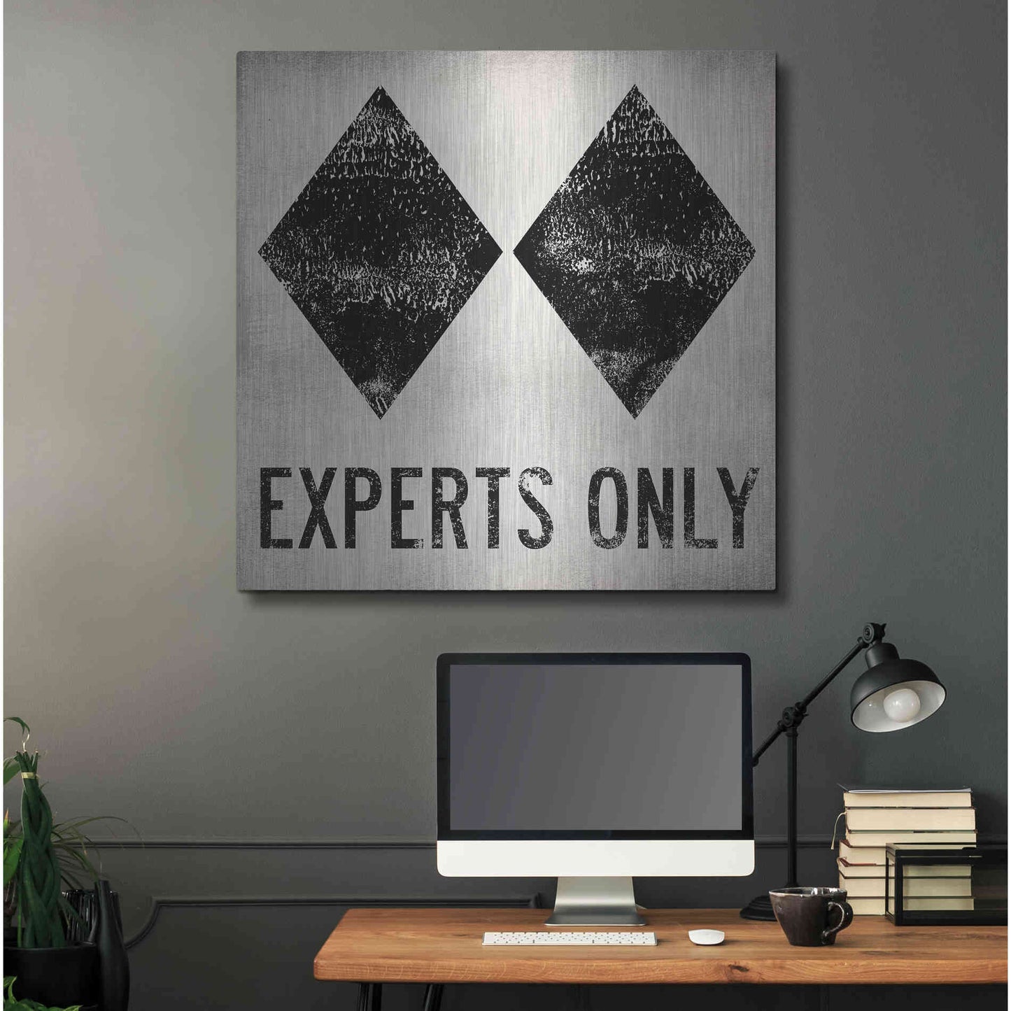 Luxe Metal Art 'Experts Only White' by Ryan Fowler, Metal Wall Art,36x36