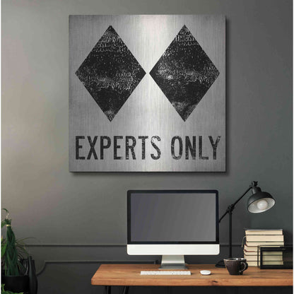 Luxe Metal Art 'Experts Only White' by Ryan Fowler, Metal Wall Art,36x36