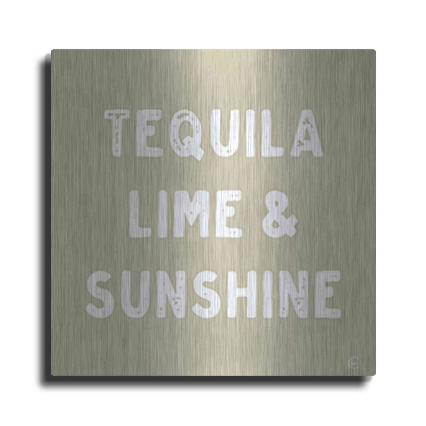 Luxe Metal Art 'Tequila, Lime & Sunshine' by Fearfully Made Creations, Metal Wall Art
