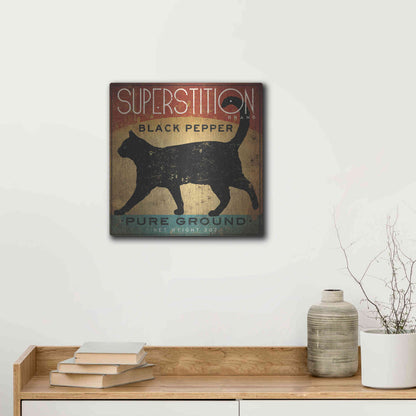 Luxe Metal Art 'Superstition Black Pepper Cat' by Ryan Fowler, Metal Wall Art,12x12
