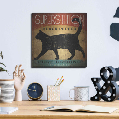 Luxe Metal Art 'Superstition Black Pepper Cat' by Ryan Fowler, Metal Wall Art,12x12