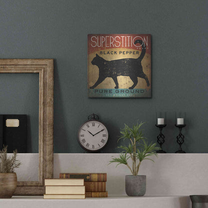 Luxe Metal Art 'Superstition Black Pepper Cat' by Ryan Fowler, Metal Wall Art,12x12