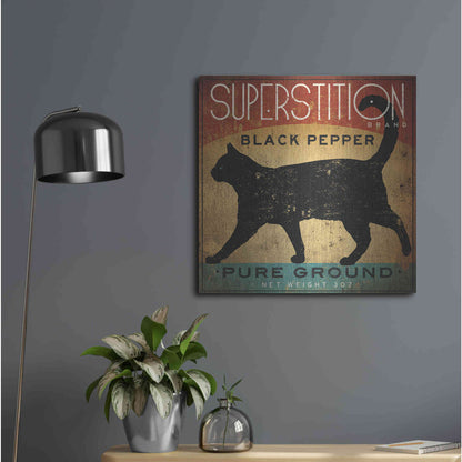 Luxe Metal Art 'Superstition Black Pepper Cat' by Ryan Fowler, Metal Wall Art,24x24
