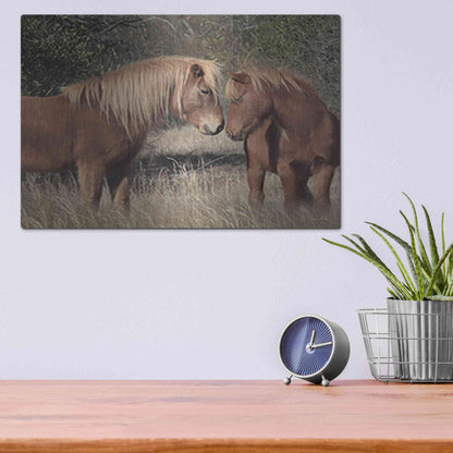 Luxe Metal Art 'Assateague Horses III' by Lori Deiter, Metal Wall Art,16x12