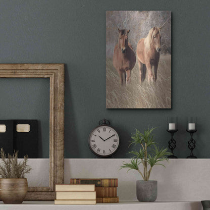 Luxe Metal Art 'Assateague Horses IV' by Lori Deiter, Metal Wall Art,12x16