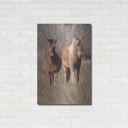 Luxe Metal Art 'Assateague Horses IV' by Lori Deiter, Metal Wall Art,24x36