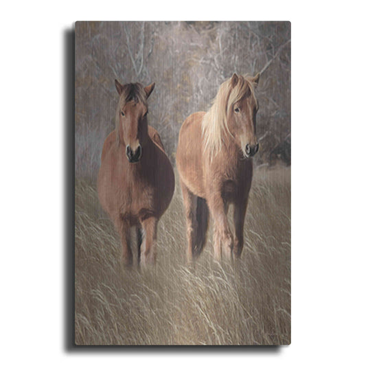 Luxe Metal Art 'Assateague Horses IV' by Lori Deiter, Metal Wall Art