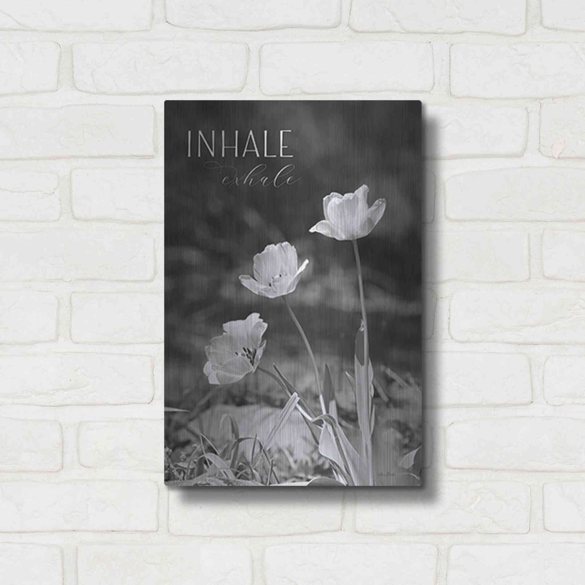 Luxe Metal Art 'Inhale, Exhale' by Lori Deiter, Metal Wall Art,12x16
