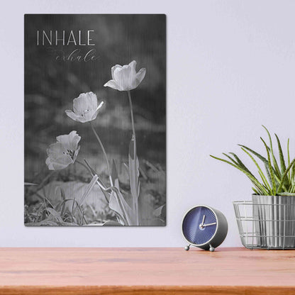 Luxe Metal Art 'Inhale, Exhale' by Lori Deiter, Metal Wall Art,12x16