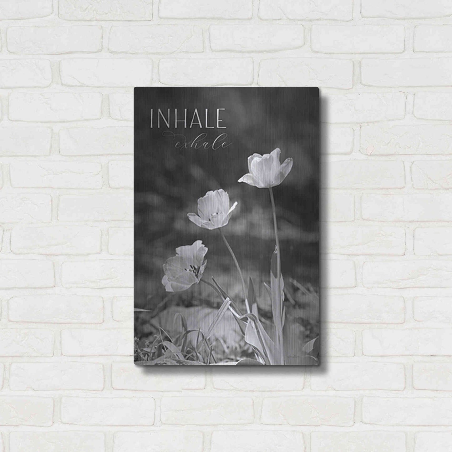 Luxe Metal Art 'Inhale, Exhale' by Lori Deiter, Metal Wall Art,16x24