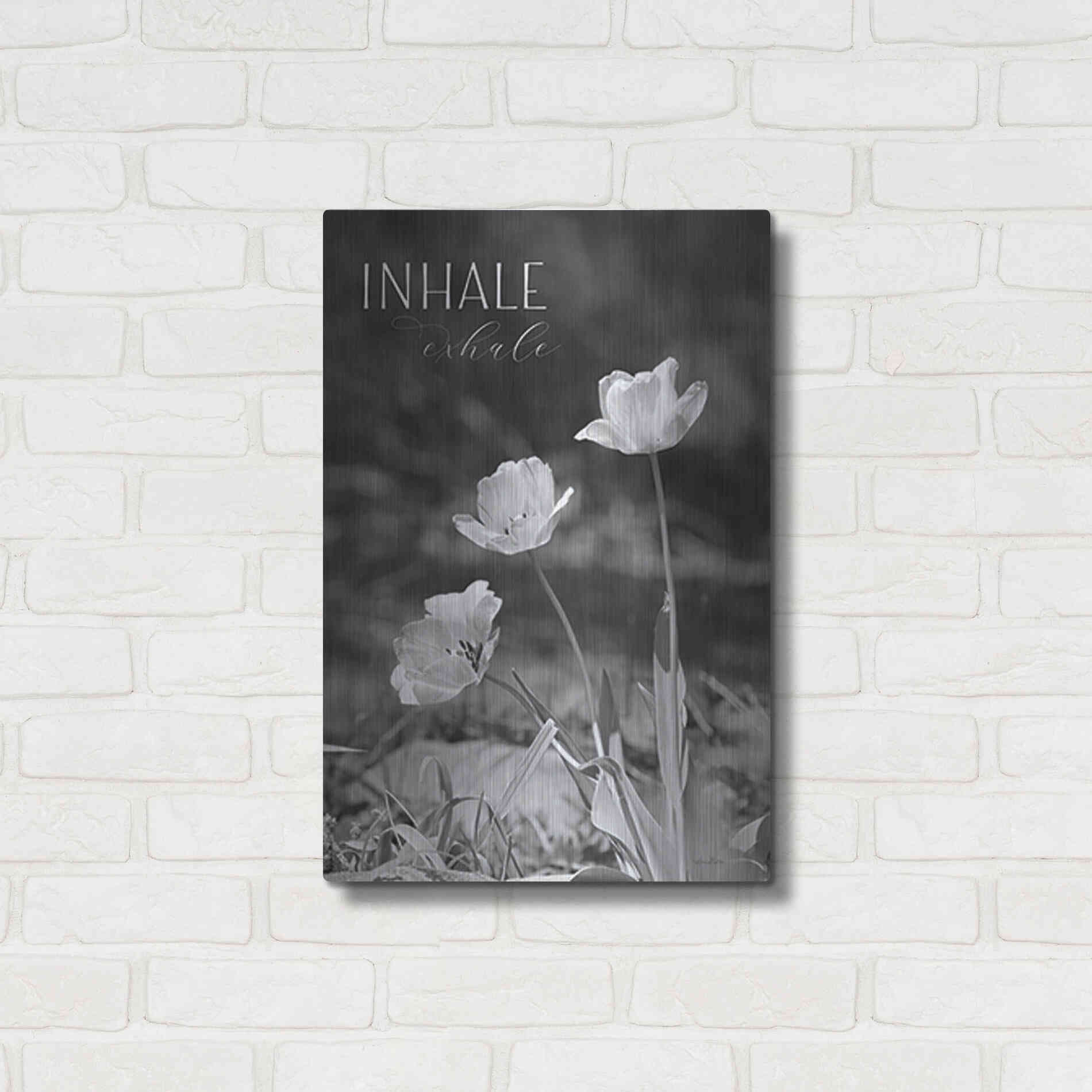 Luxe Metal Art 'Inhale, Exhale' by Lori Deiter, Metal Wall Art,16x24