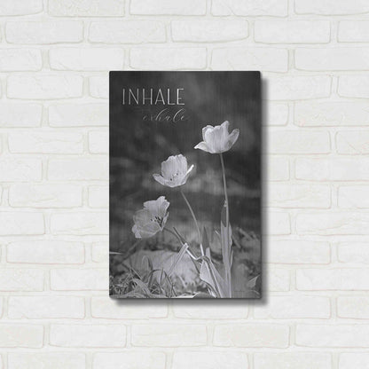 Luxe Metal Art 'Inhale, Exhale' by Lori Deiter, Metal Wall Art,16x24