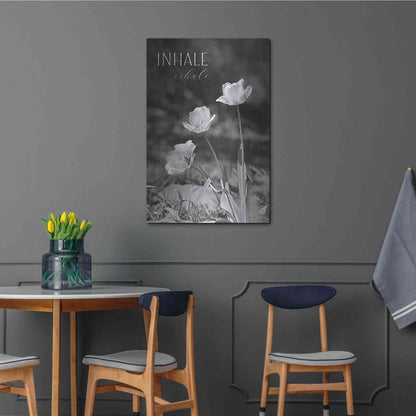 Luxe Metal Art 'Inhale, Exhale' by Lori Deiter, Metal Wall Art,24x36