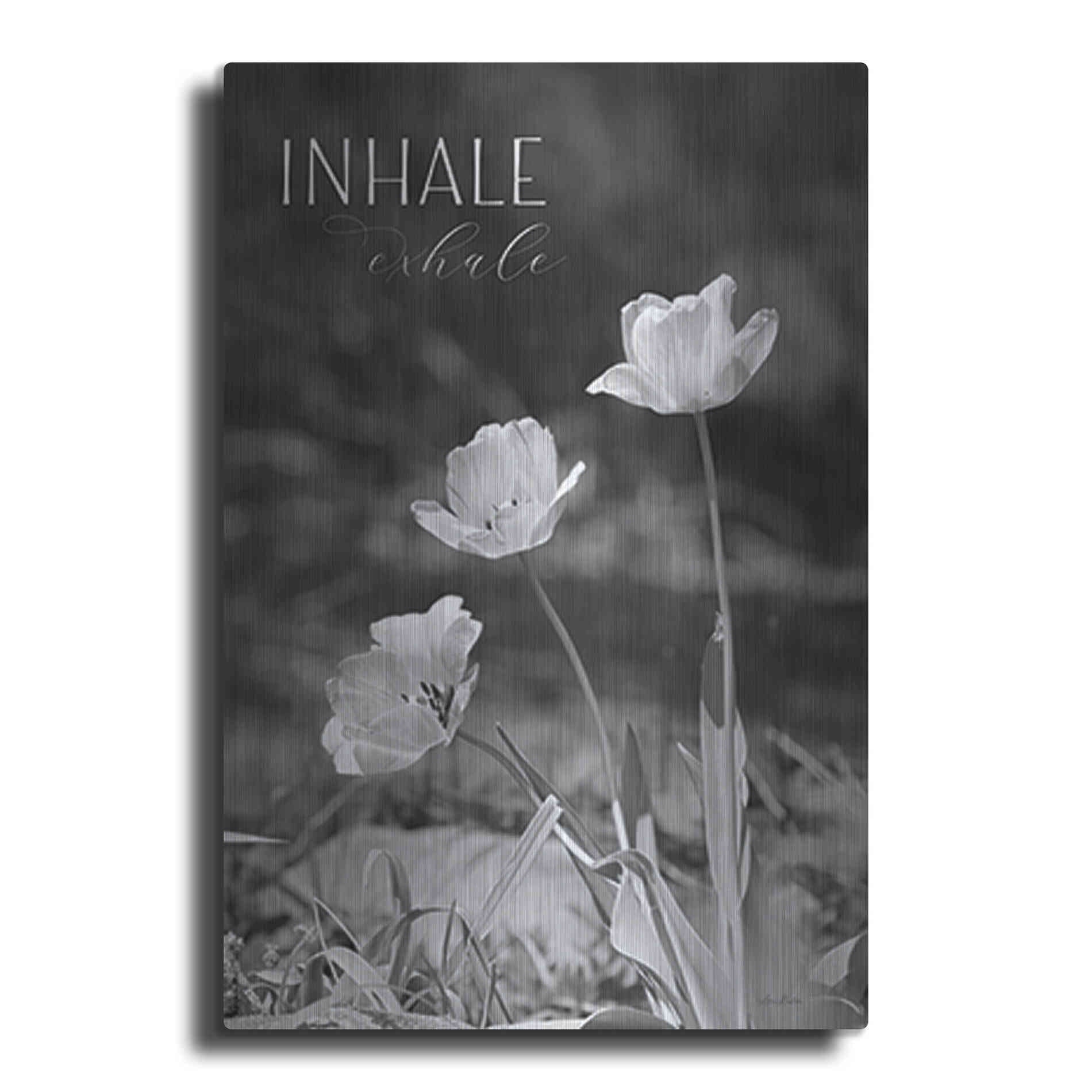 Luxe Metal Art 'Inhale, Exhale' by Lori Deiter, Metal Wall Art