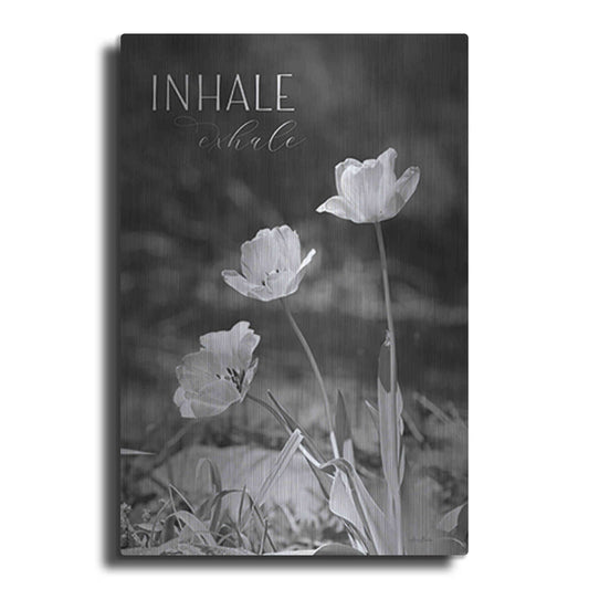 Luxe Metal Art 'Inhale, Exhale' by Lori Deiter, Metal Wall Art