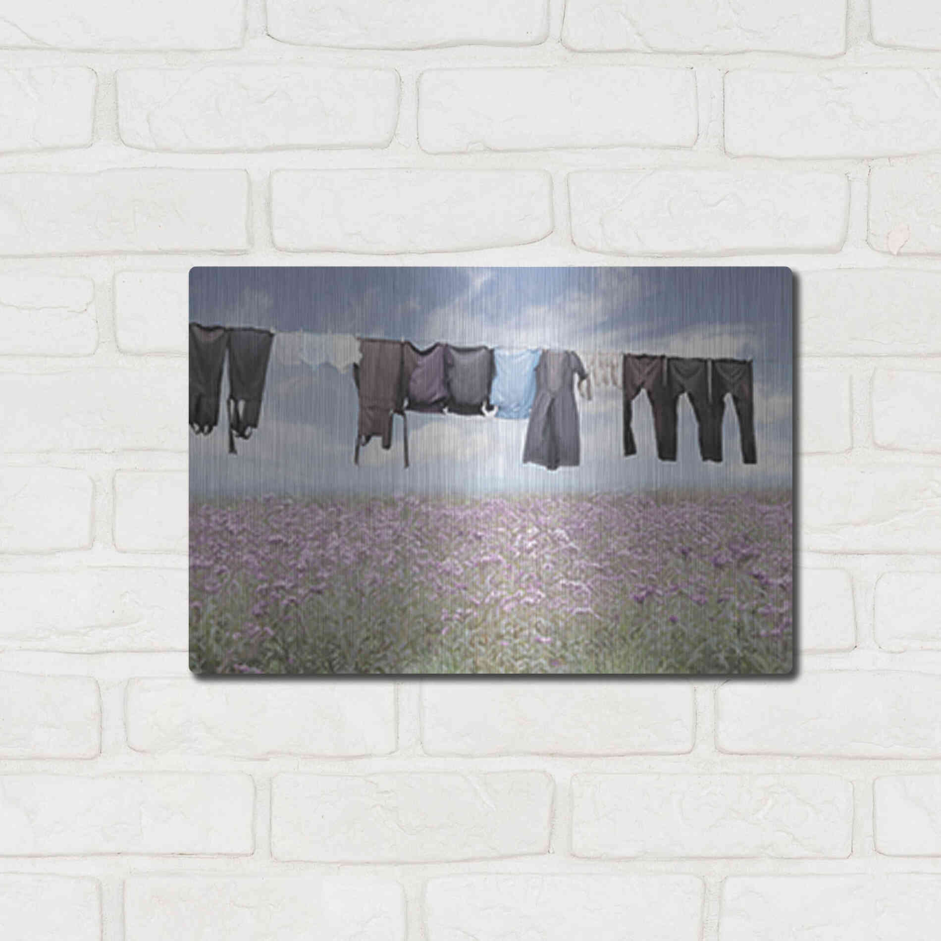 Luxe Metal Art 'Laundry Day 2' by Lori Deiter, Metal Wall Art,16x12