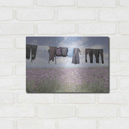 Luxe Metal Art 'Laundry Day 2' by Lori Deiter, Metal Wall Art,16x12