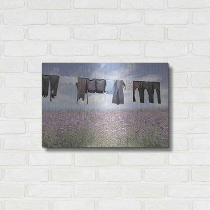 Luxe Metal Art 'Laundry Day 2' by Lori Deiter, Metal Wall Art,24x16