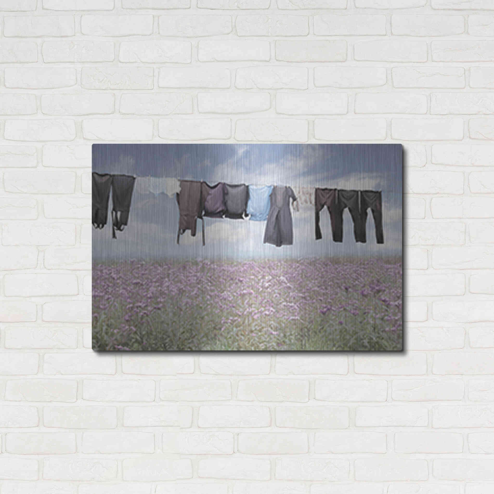 Luxe Metal Art 'Laundry Day 2' by Lori Deiter, Metal Wall Art,36x24