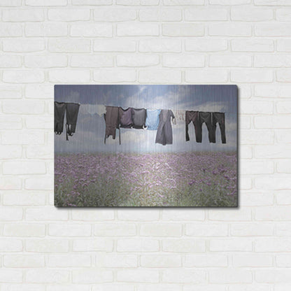 Luxe Metal Art 'Laundry Day 2' by Lori Deiter, Metal Wall Art,36x24