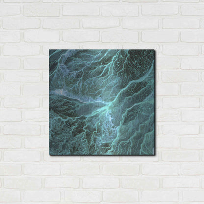Luxe Metal Art 'Earth As Art: Wadi Branches' Metal Wall Art,24x24