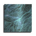 Luxe Metal Art 'Earth As Art: Wadi Branches' Metal Wall Art