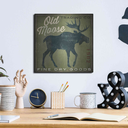 Luxe Metal Art 'Old Moose Trading Co. - green' by Ryan Fowler, Metal Wall Art,12x12