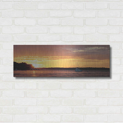 Luxe Metal Art 'Drifting' by Lori Deiter, Metal Wall Art,36x12