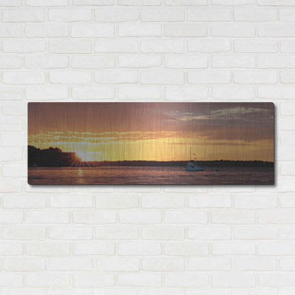 Luxe Metal Art 'Drifting' by Lori Deiter, Metal Wall Art,48x16