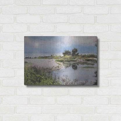 Luxe Metal Art 'Lake Coast' by Lori Deiter, Metal Wall Art,24x16