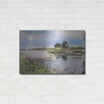 Luxe Metal Art 'Lake Coast' by Lori Deiter, Metal Wall Art,36x24