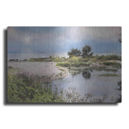 Luxe Metal Art 'Lake Coast' by Lori Deiter, Metal Wall Art