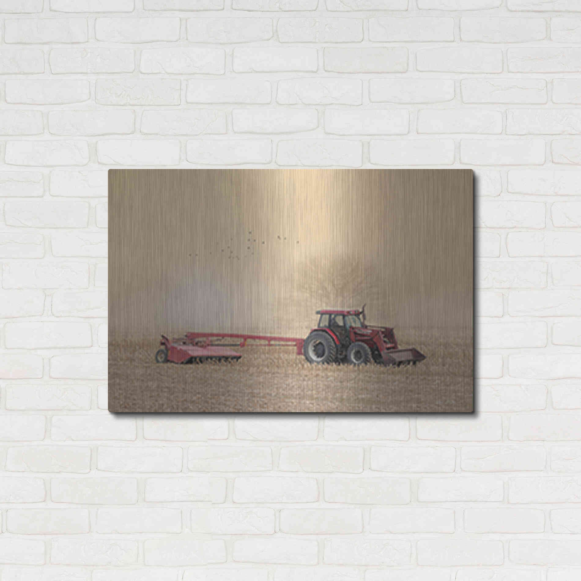 Luxe Metal Art 'Foggy Morning in the Field' by Lori Deiter, Metal Wall Art,36x24