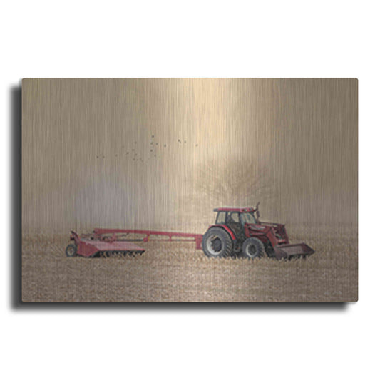 Luxe Metal Art 'Foggy Morning in the Field' by Lori Deiter, Metal Wall Art