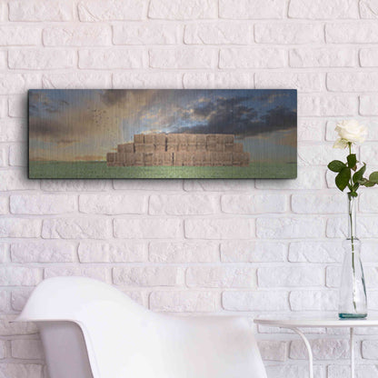 Luxe Metal Art 'Haystack Harvest' by Lori Deiter, Metal Wall Art,36x12