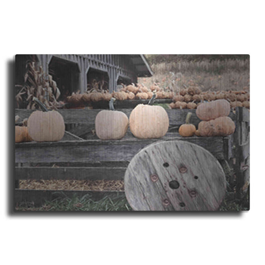 Luxe Metal Art 'Pumpkin Market' by Lori Deiter, Metal Wall Art