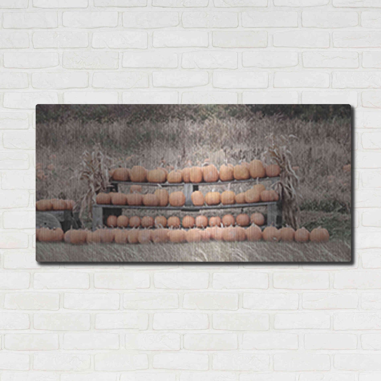 Luxe Metal Art 'Pumpkin Picking' by Lori Deiter, Metal Wall Art,48x24