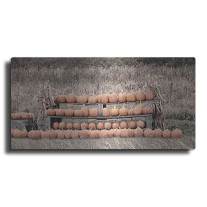 Luxe Metal Art 'Pumpkin Picking' by Lori Deiter, Metal Wall Art