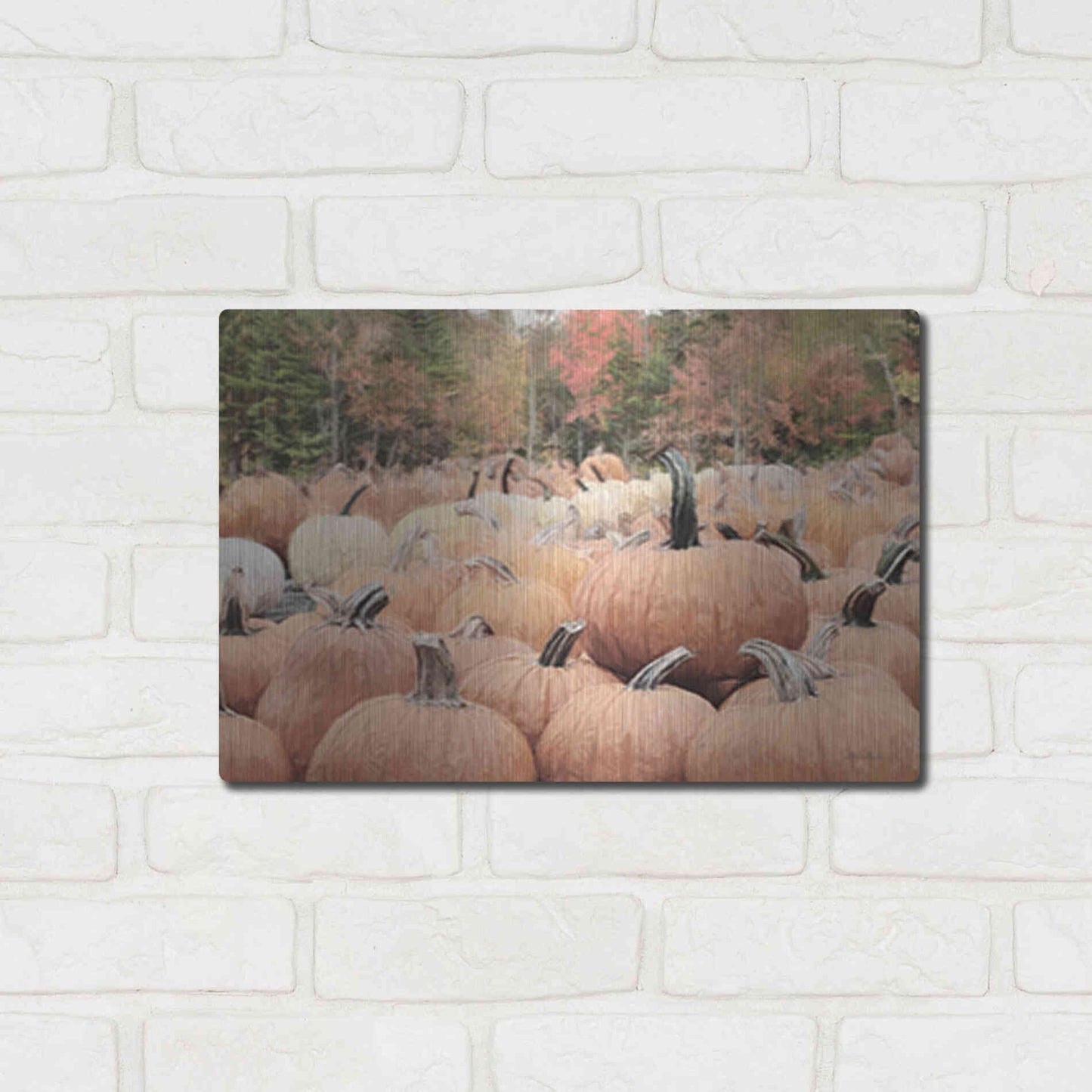 Luxe Metal Art 'The Perfect Pumpkin' by Lori Deiter, Metal Wall Art,16x12
