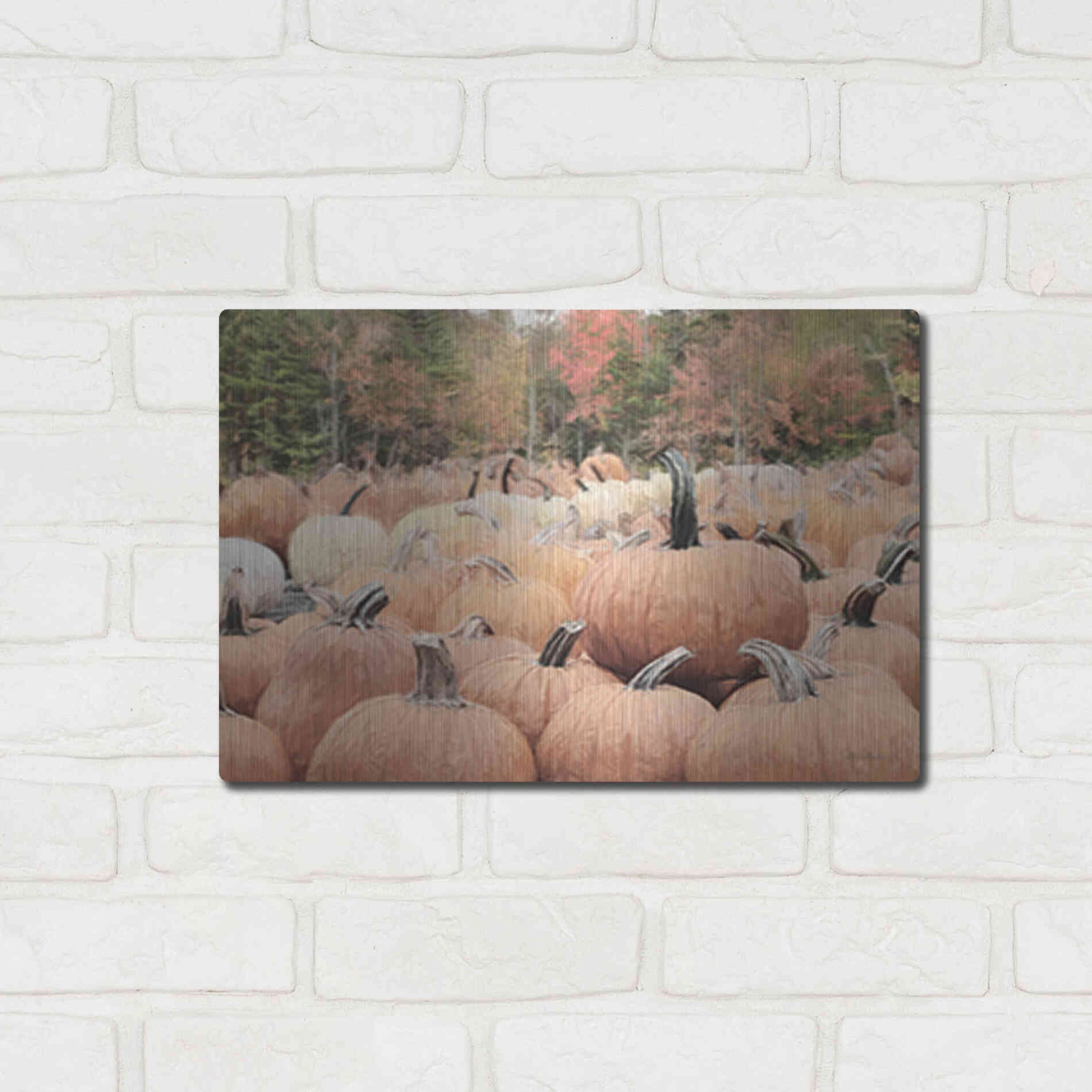 Luxe Metal Art 'The Perfect Pumpkin' by Lori Deiter, Metal Wall Art,16x12