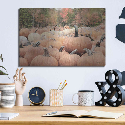 Luxe Metal Art 'The Perfect Pumpkin' by Lori Deiter, Metal Wall Art,16x12