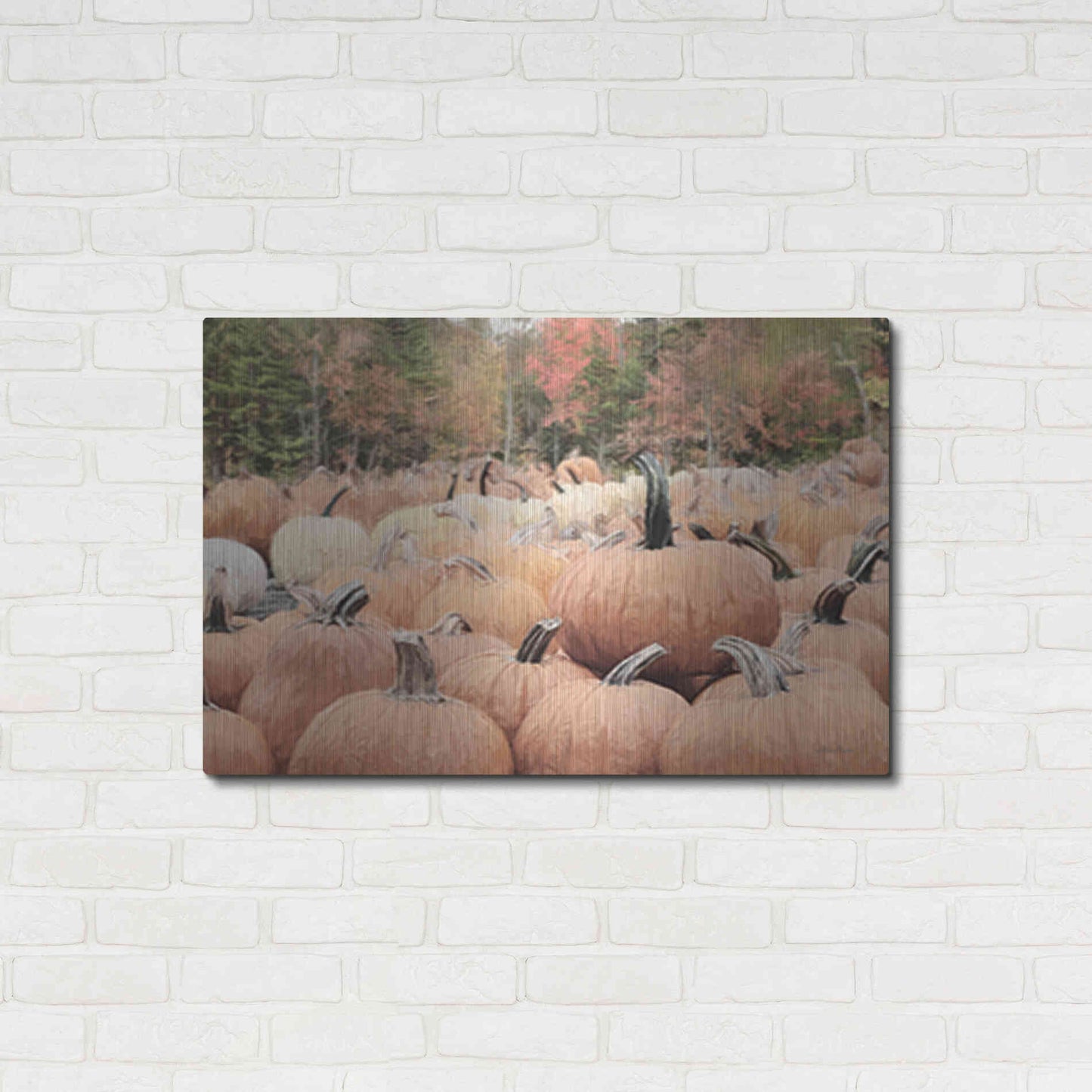 Luxe Metal Art 'The Perfect Pumpkin' by Lori Deiter, Metal Wall Art,36x24