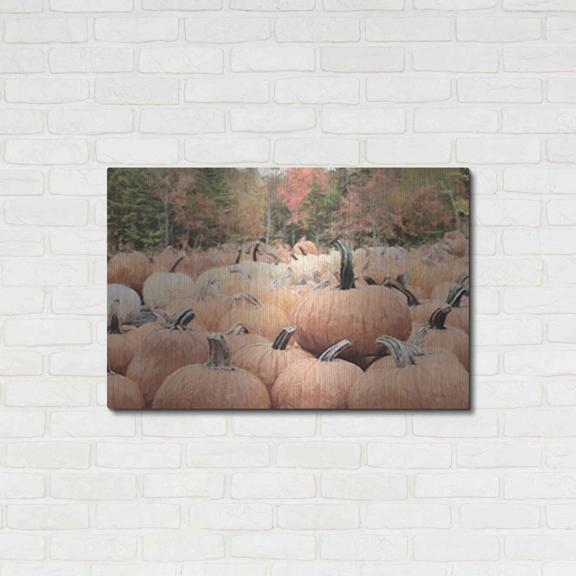 Luxe Metal Art 'The Perfect Pumpkin' by Lori Deiter, Metal Wall Art,36x24