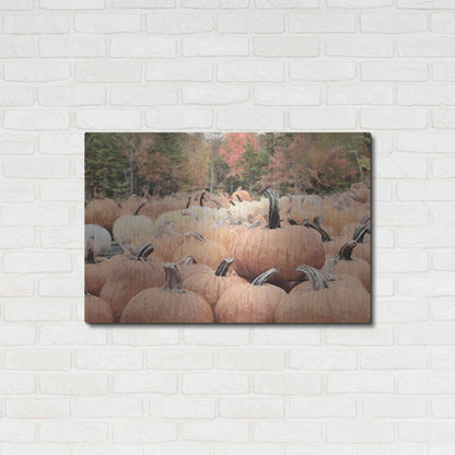 Luxe Metal Art 'The Perfect Pumpkin' by Lori Deiter, Metal Wall Art,36x24