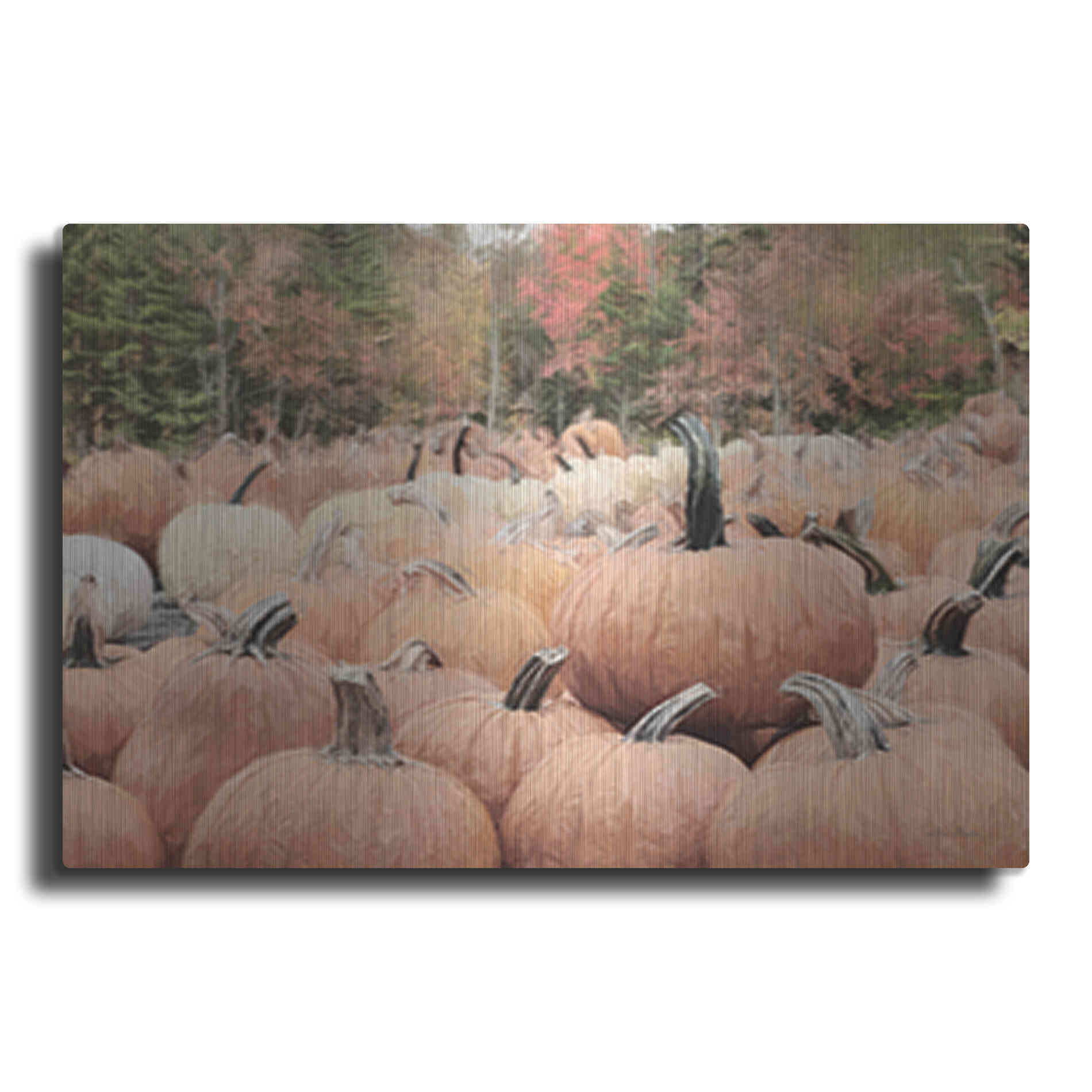 Luxe Metal Art 'The Perfect Pumpkin' by Lori Deiter, Metal Wall Art
