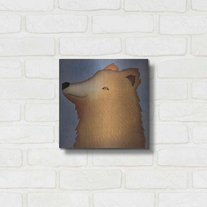Luxe Metal Art 'Brown Bear Wow' by Ryan Fowler, Metal Wall Art,12x12